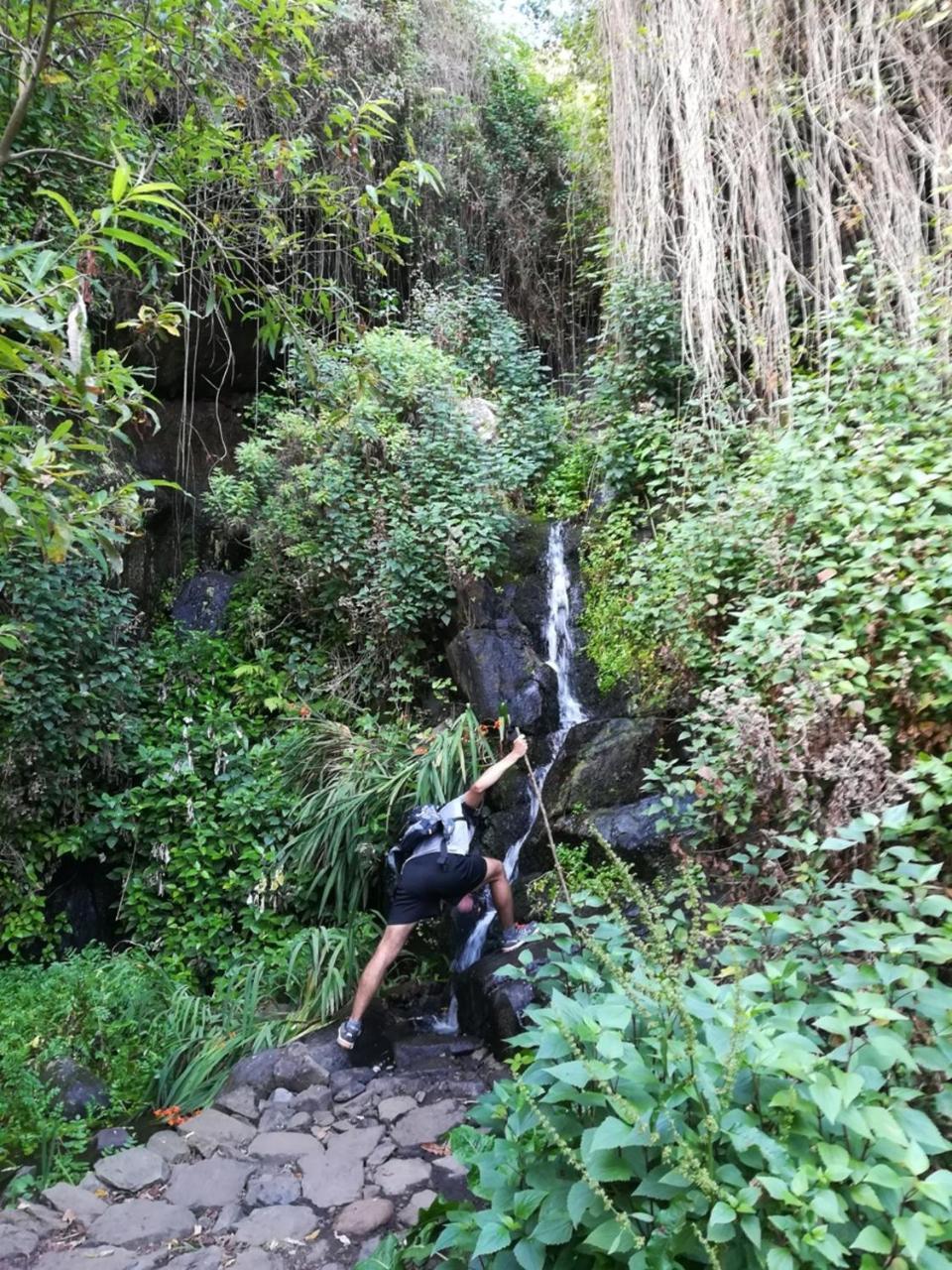 Casa Rural Finca La Maleza Agulo Luaran gambar