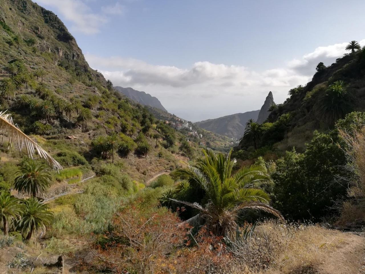 Casa Rural Finca La Maleza Agulo Luaran gambar